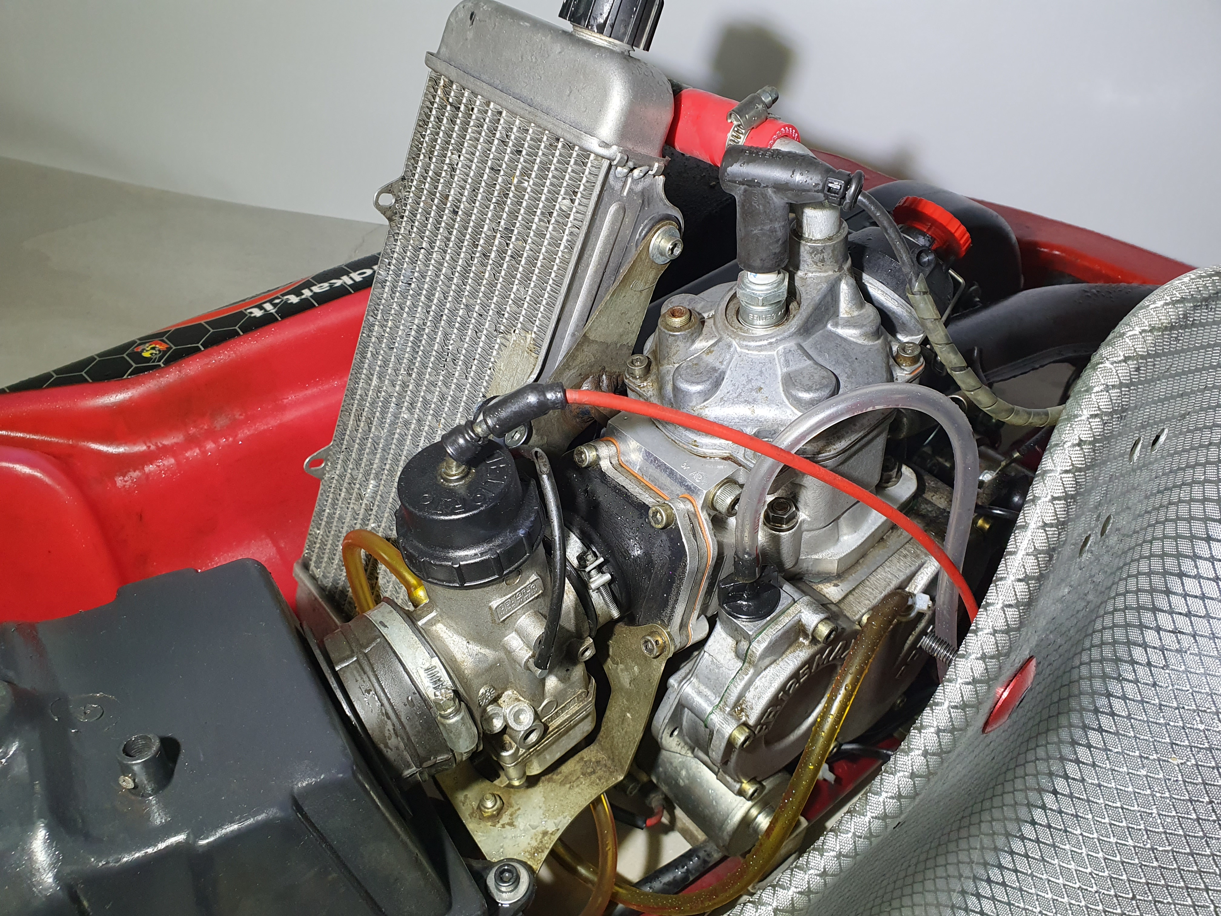 Kart Wildkart DD2 – foto 8, Rideen
