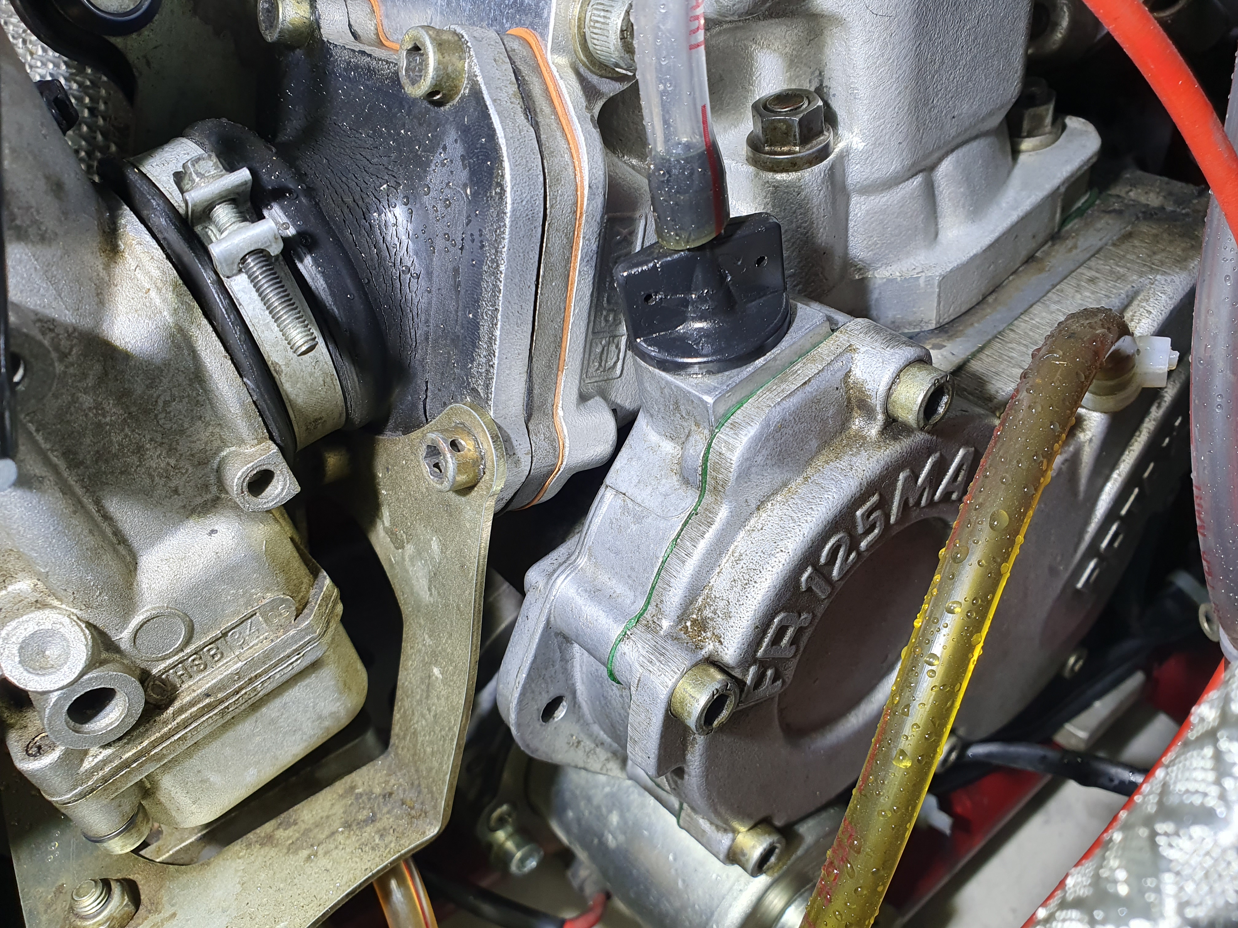 Kart Wildkart DD2 – foto 10, Rideen